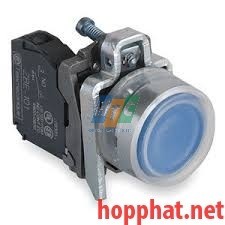 PUSHBUTTON - XB4BP61